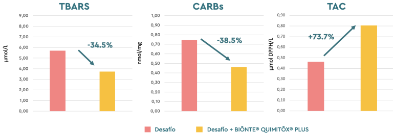 Función antioxidante (µmol/L) en las cerdas primíparas expuestas a las multicontaminación con las micotoxinas en las dos granjas.